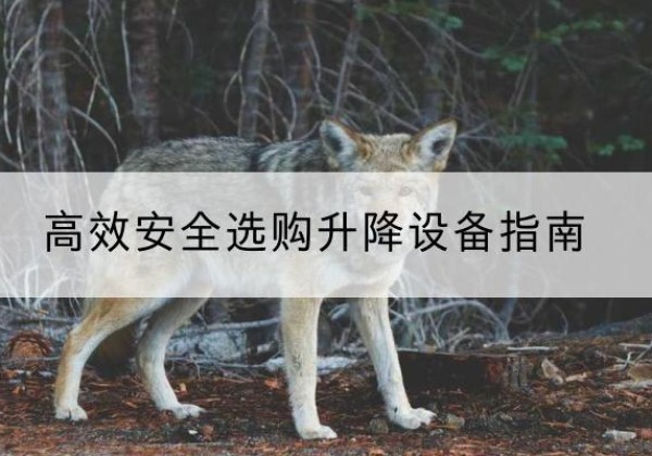 达州升降货梯厂家推荐-*安全选购升降设备指南
