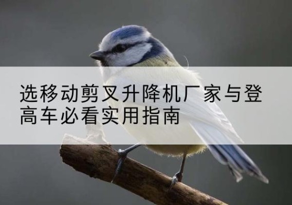 达州电动升降机厂家-选移动剪叉升降机厂家与登高车必看实用指南